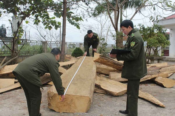 Năm 2017, tỉnh Lai Châu xảy ra 252 vụ vi phạm Luật Bảo vệ và Phát triển rừng nhưng không có các tụ điểm lớn