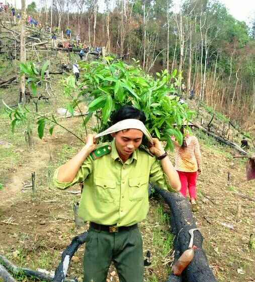 Năm 2017, tỉnh Lai Châu xảy ra 252 vụ vi phạm Luật Bảo vệ và Phát triển rừng nhưng không có các tụ điểm lớn