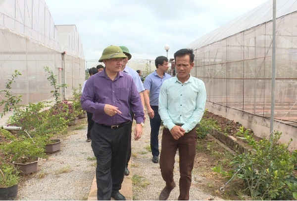 Chủ tịch UBND tỉnh thăm HTX sản xuất cung ứng rau quả và cây dược liệu An Thịnh Phát ở xã Tống Trân.
