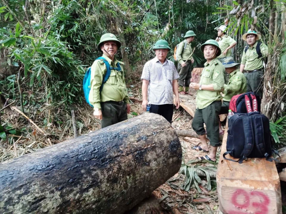 Ông Lê Trí Thanh- Phó chủ tịch UBND tỉnh Quảng Nam trực tiếp vào hiện trường vụ phá rừng phòng hộ Sông Kôn