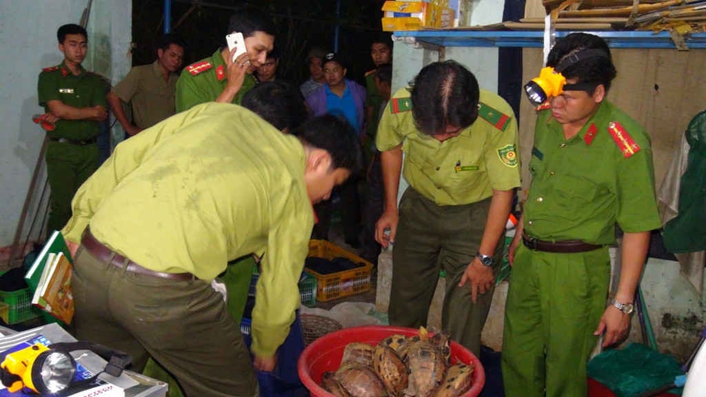 Lực lượng chức năng bắt quả tang số lượng động vật hoang dã trái phép trên