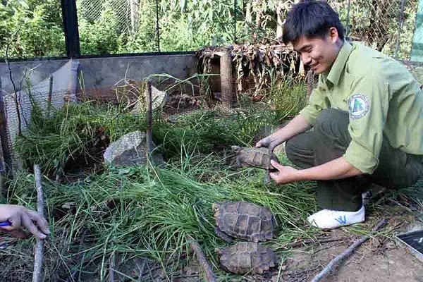 Một số động vật quí hiếm đang được lưu giữ, bảo tồn tại tỉnh Lào Cai 