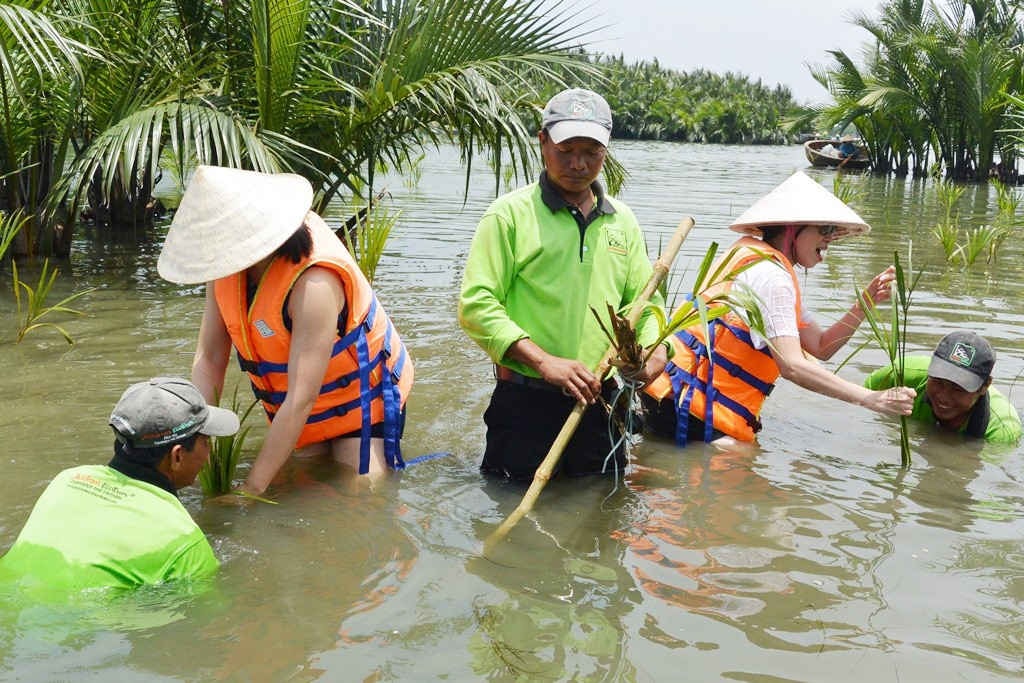 Du khách thích thú trải nghiệm tour du lịch trồng dừa nước để bảo vệ môi trường tại Cẩm Thanh