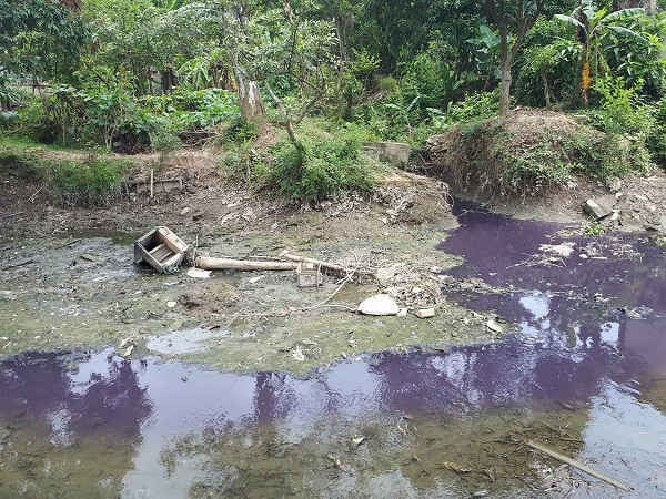 Nước thải từ đường ống Công ty cổ phần bao bì Lam Sơn xả chung với khu dân cư có màu đỏ ngòm, sặc mùi hóa chất.