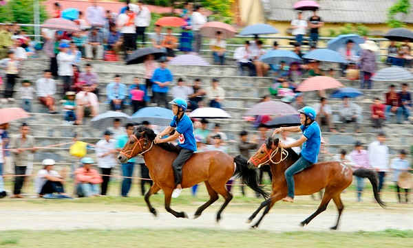 Lễ hội đua ngựa truyền thống Bắc Hà là một trong những sự kiện thu hút nhiều du khách trong và ngoài nước tới tham gia cổ vũ.