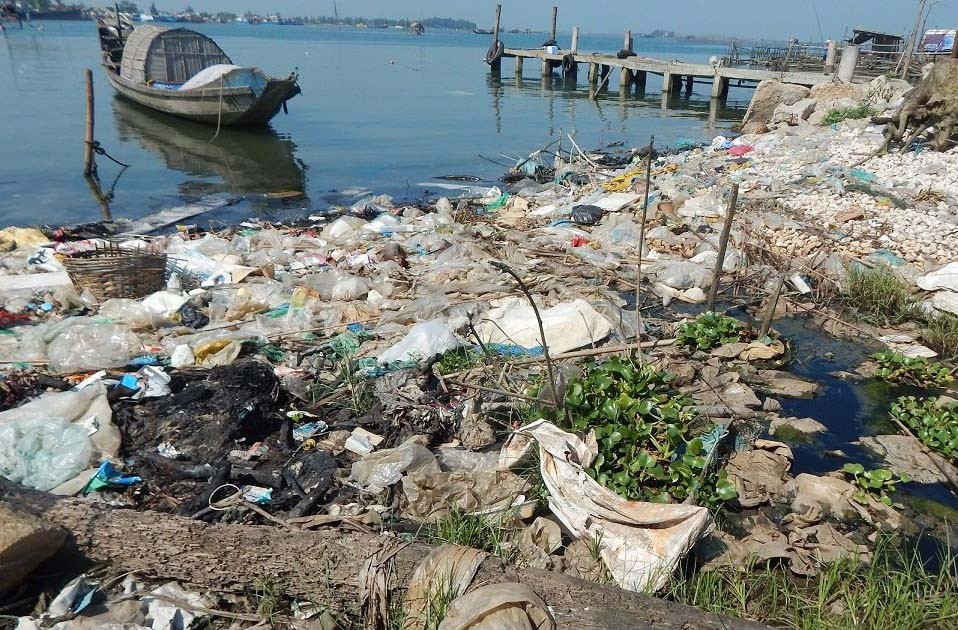 Cảng cá Thuận An đang ô nhiễm nặng