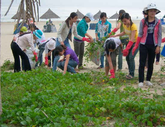 Đà Nẵng đang nỗ lực hết mình để tổ chức sự kiện quốc tế quan trọng về môi trường