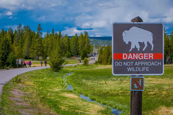 Một biển báo cảnh báo du khách không đến gần động vật trong Vườn quốc gia Yellowstone. Ảnh: Sunshine Pics / Alamy