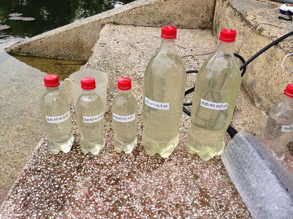 Mẫu nước Hồ Hạnh Phúc sau khi áp dụng công nghệ Bakture