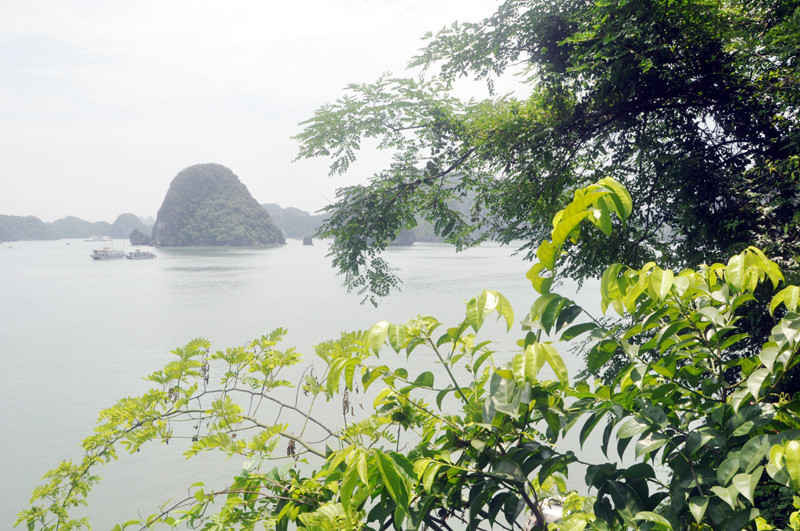Từ các điểm nhìn trên cao của đảo Soi Sim, du khách có thể phóng tầm mắt bao quát được theo nhiều hướng của di sản Vịnh Hạ Long.