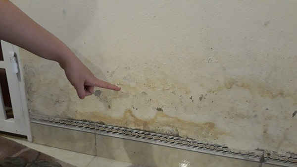 Tường bên trong nhà cũng bị ẩm mốc, bong tróc sơn