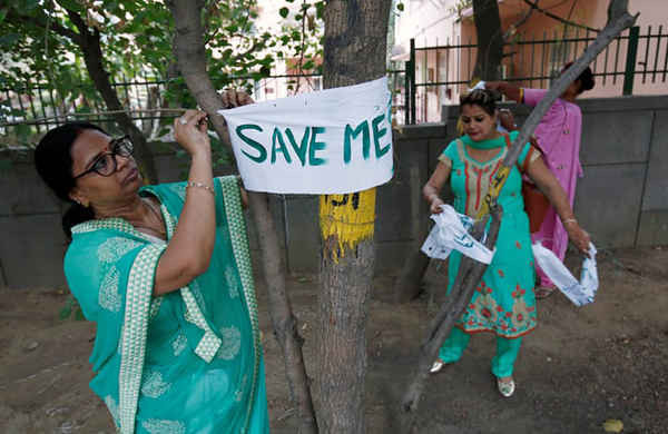 Phụ nữ buộc băng rôn trên cây trong Chiến dịch “Bảo vệ cây” ở New Delhi, Ấn Độ. Ảnh: Adnan Abidi / Reuters