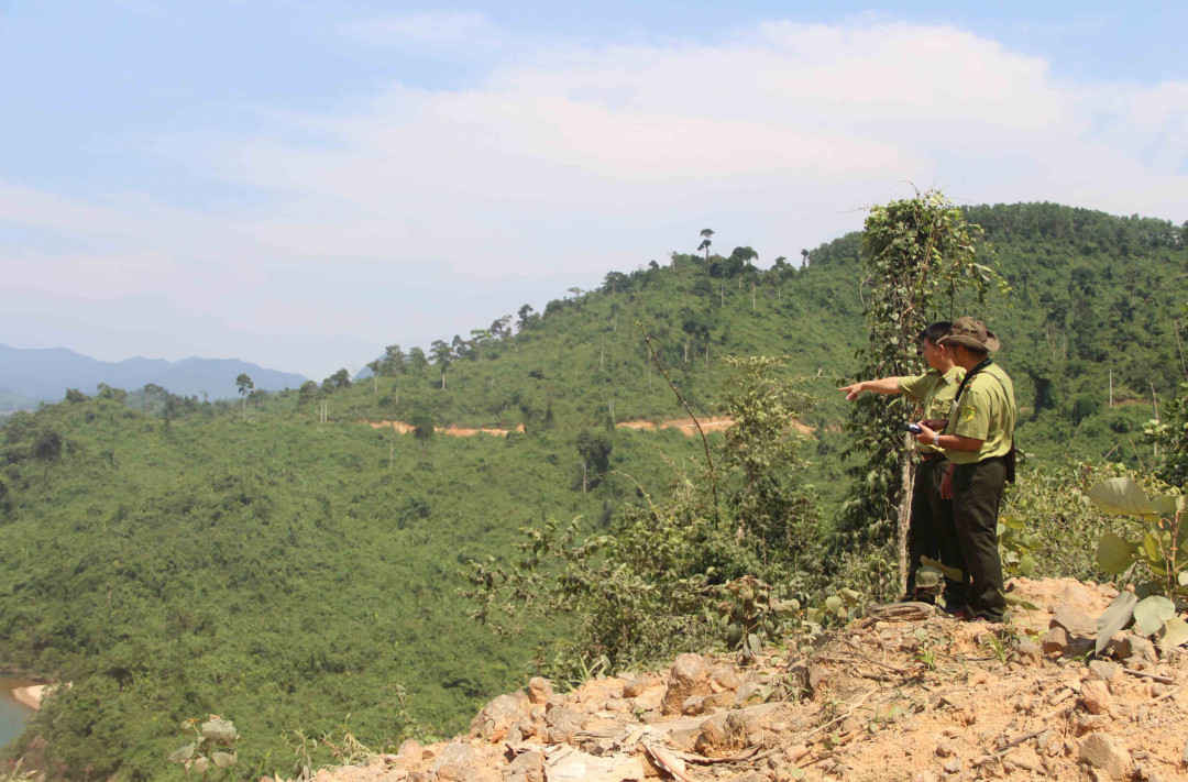 Kiểm lâm Thừa Thiên Huế kiểm tra rừng 