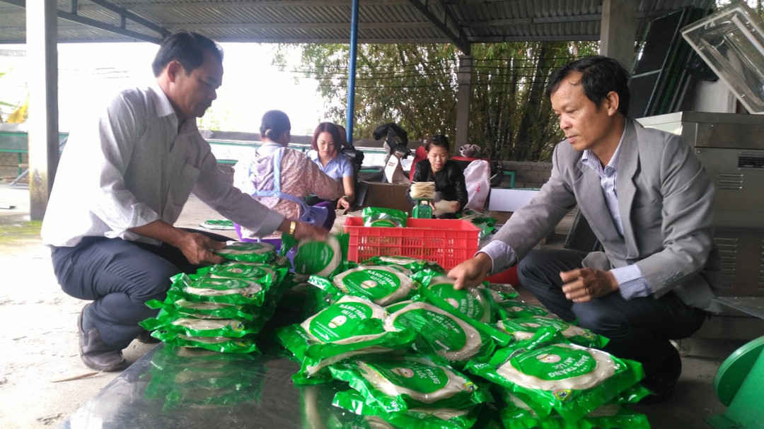 HTX nông nghiệp dịch vụ Ái Nghĩa, huyện Đại Lộc (tỉnh Quảng Nam) đang hoạt động khá hiệu quả