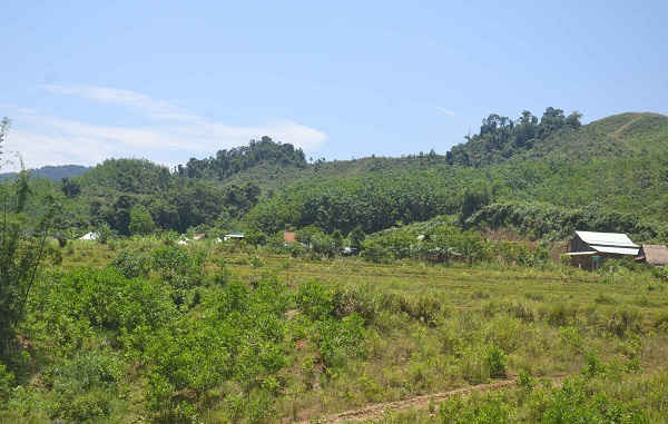 Nghề trồng rừng, là nguồn sống, nguồn thu nhập chính của người dân miền núi.