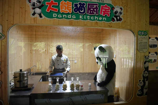 Người quản lý chuẩn bị thức ăn cho gấu trúc khổng lồ tại Công viên động vật hoang dã Vân Nam, Trung Quốc. Ảnh: China News Service/VCG via Getty Images