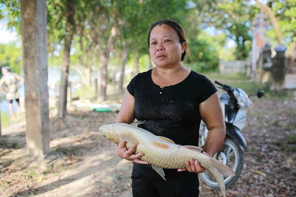 Một phụ nữ với vẻ mặt thất thần đau buồn khi cá đã chết sạch