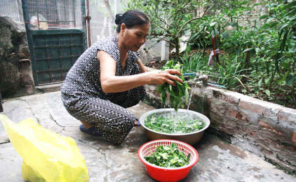Từ khi có hệ lọc Katalox Light, người dân thôn Thái Hòa đã có nước sạch để sử dụng. Ảnh: Lâm Nguyễn