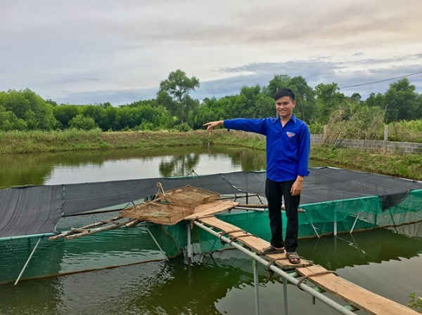 Võ Văn Sang với dự án nuôi cá Chình của mình