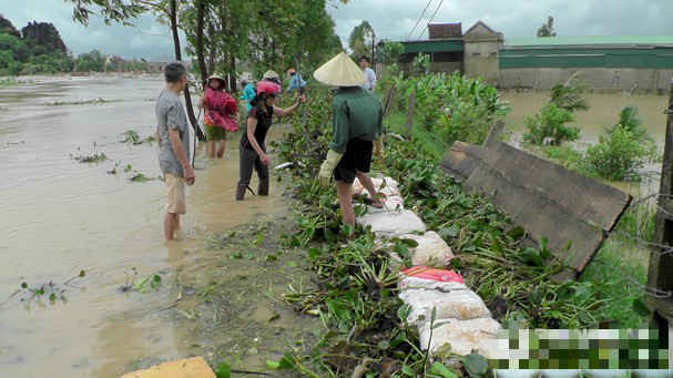 Yên Thành, Quỳnh Lưu vỡ đập, nhiều vùng bị chia cắt 2
