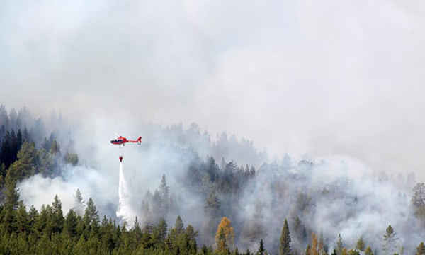 Nhân viên cứu hỏa cố gắng dập tắt ngọn lửa trong một khu rừng ở miền Tây Thụy Điển, nước bị ảnh hưởng nặng nề nhất do cháy rừng. Ảnh: Mats Andersson / EPA