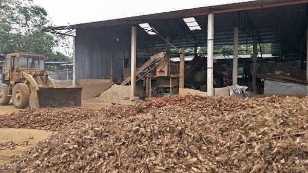 Xưởng sản xuất tinh bột sắn ở xã Xuân Bái, huyện Thọ Xuân gây ô nhiễm môi trường