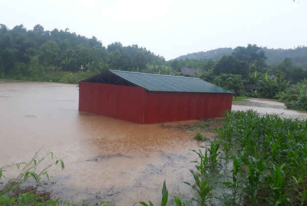 Một nhà dân trến địa bàn huyện Văn Bàn bị nước ngập