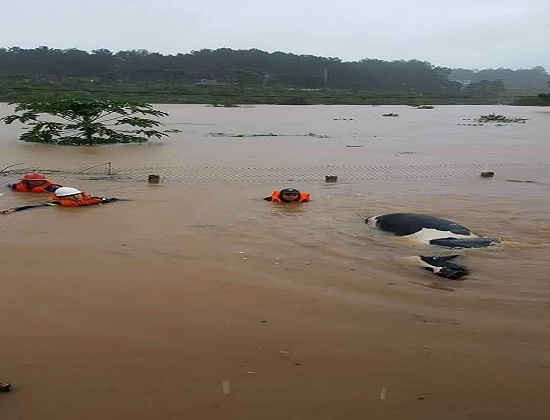 Huyện Mộc Châu bị thiệt hại nặng do mưa lũ