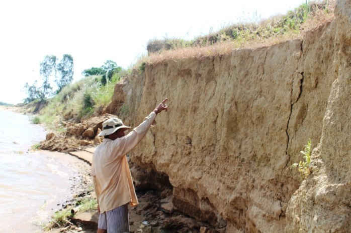 Hàng trăm hecta đất canh tác của người dân dọc theo sông Thu Bồn đang đứng trước nguy cơ bị “xóa sổ”