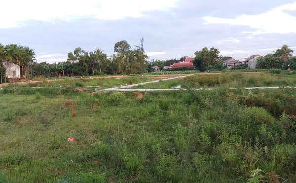 Những lô đất tại khu quy hoạch Chiết Bi được mang ra đấu giá