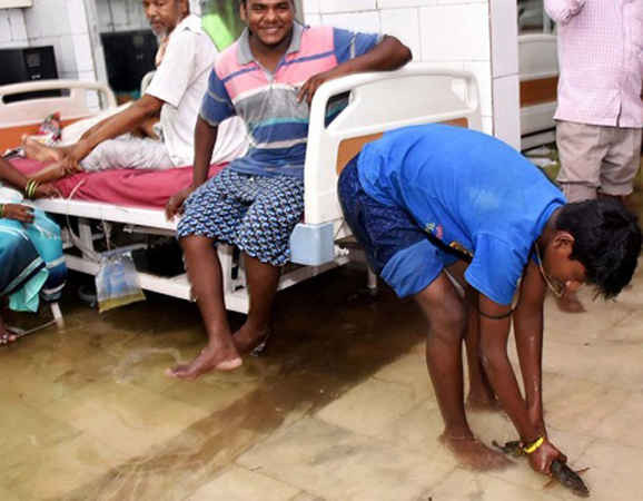 Cá theo nước ngập vào bệnh viện Trường Đại học Y Nalanda ở bang Bihar, Đông Bắc Ấn Độ