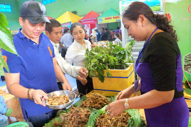 Hội chợ Sâm Ngọc Linh và hàng nông sản đặc trưng miền núi tỉnh Quảng Nam