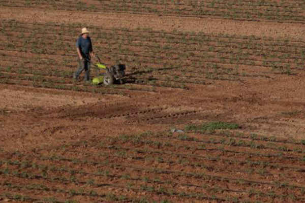 Người nông dân làm việc trên cánh đồng ở thị trấn Langadas, Hy Lạp vào ngày 1/6/2018. Ảnh: Alexandros Avramidis