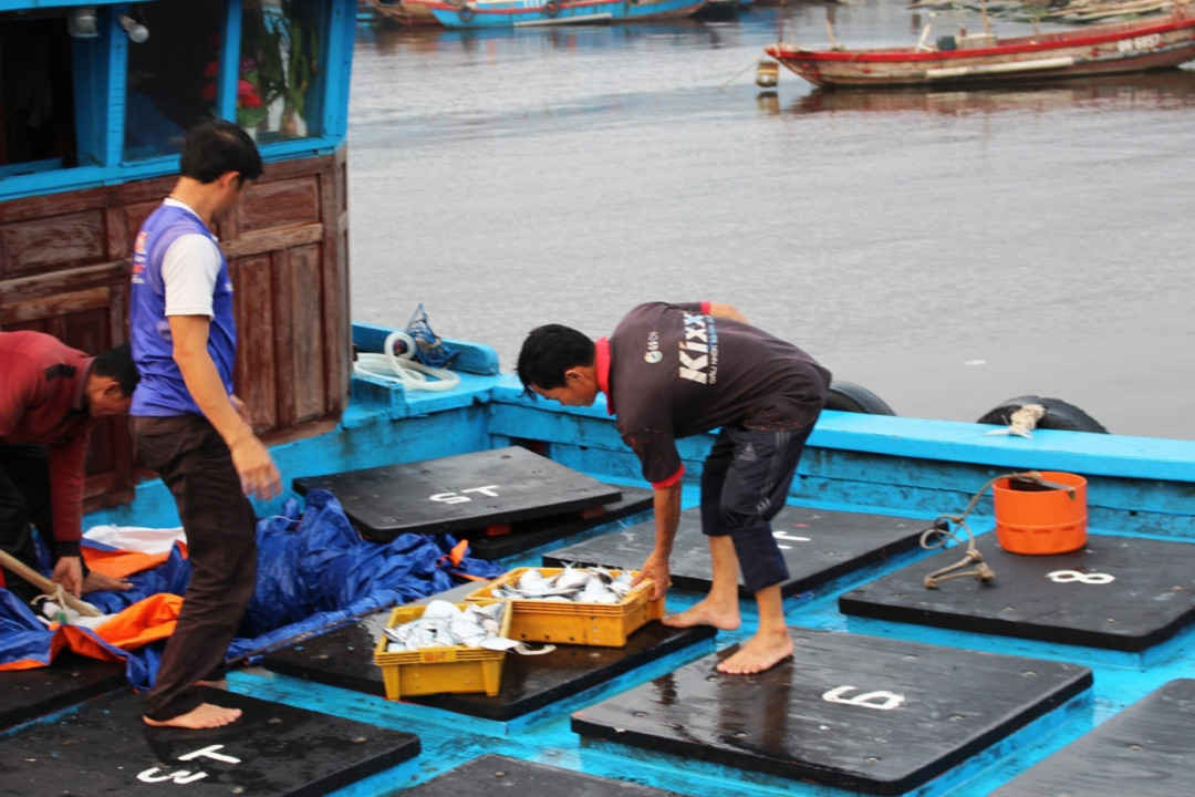 Việc bị EC cảnh báo “Thẻ vàng” đã gây ảnh hưởng không nhỏ tới lĩnh vực xuất khẩu thủy sản của Việt Nam