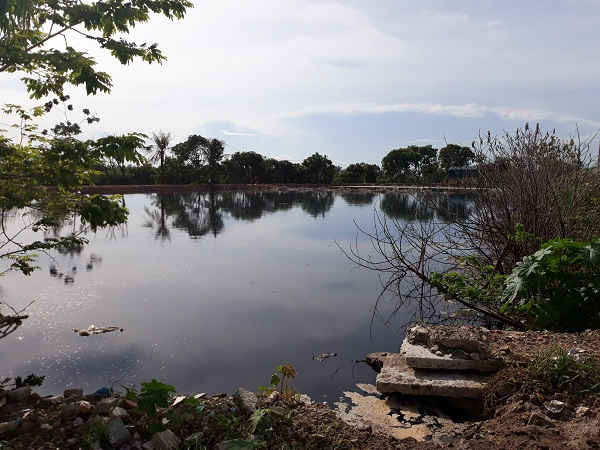 Hồ lắng đầy ứ vì nước thải, thế nhưng UBND TP Sầm Sơn lại có chủ trương cải tạo thành nơi đổ rác, vậy nước thải sẽ chảy đi đâu?