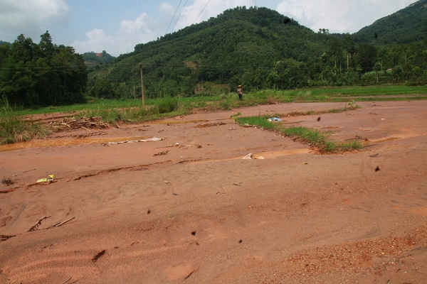 Bùn thải của nhà máy tuyển quặng của Công ty khoáng sản Hưng Phát đã vùi lấp nhiều diện tích lúa của người dân