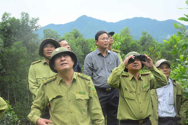 Ông Lê Trí Thanh, Phó chủ tịch UBND tỉnh Quảng đi thị xác khu vực sống của đàn voọc.