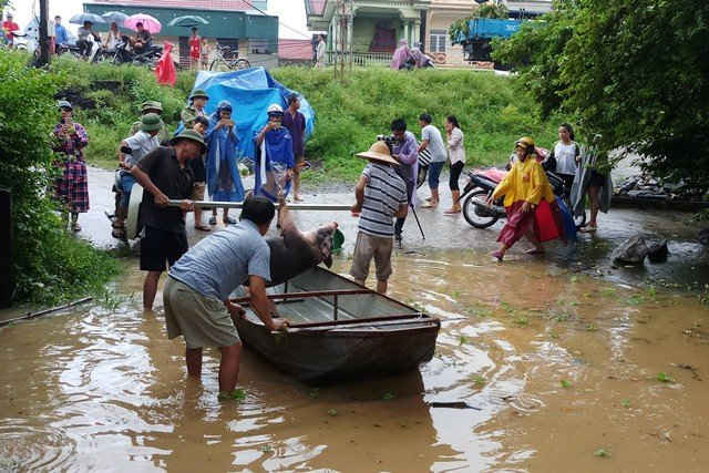 Nước dâng cao không ngừng, TP Thanh Hóa di dời 7 000 dân4