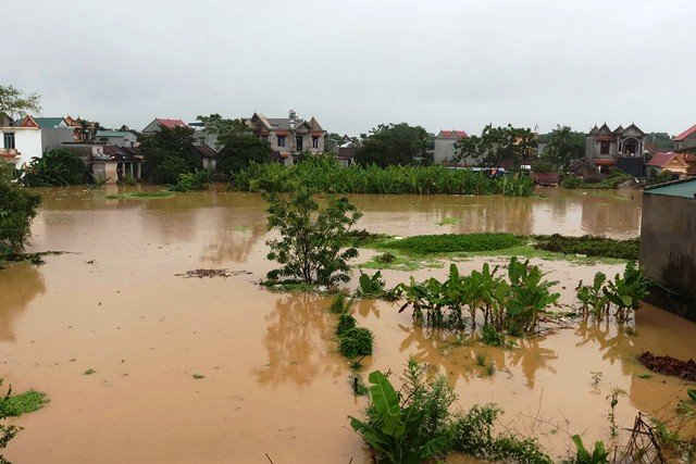 Nước dâng cao không ngừng, TP Thanh Hóa di dời 7 000 dân9