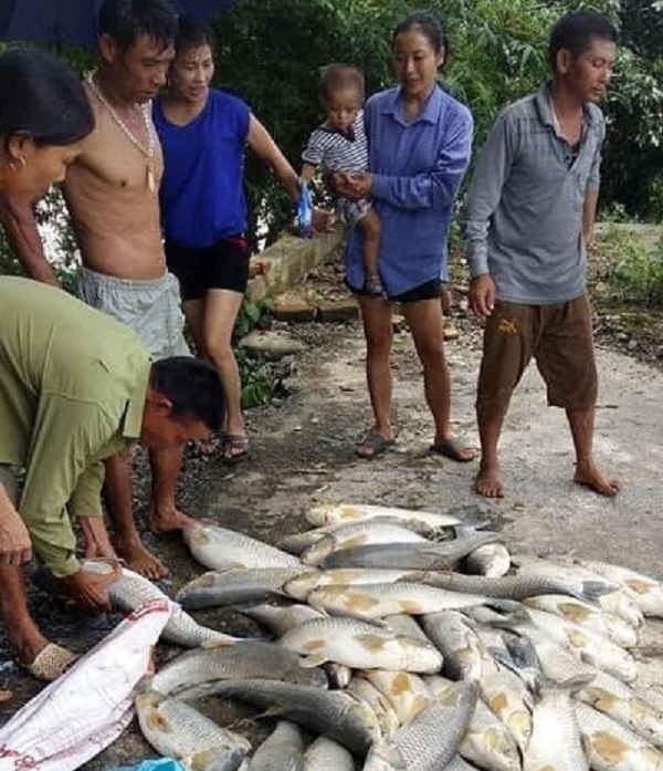 Đợt mưa lũ đã gây thiệt hại nặng nề về người và tài sản ở miền Tây Nghệ An