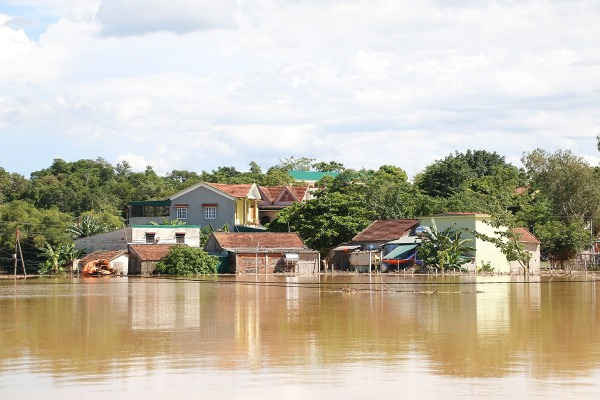 Dù không mưa nhưng các huyện hạ du như Đô Lương, Thanh Chương, Nam Đàn, Hưng Nguyên vẫn bị ngập lụt