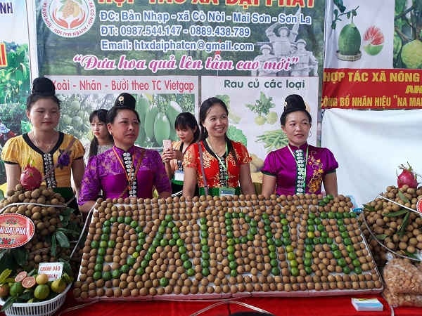 Việc công bố nhãn hiệu chứng nhận “Na Mai Sơn” và Ngày hội nông sản 2018 nhằm giới thiệu, quảng bá sản phẩm Na và các sản phẩm nông nghiệp khác của huyện Mai Sơn