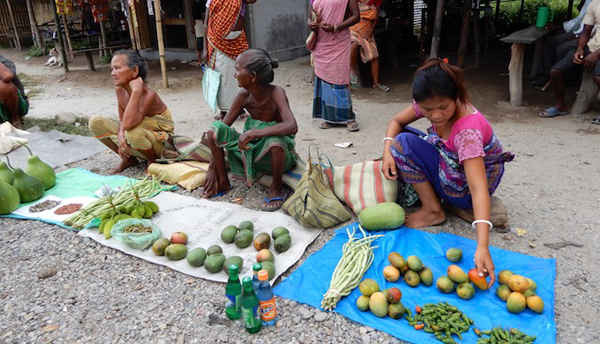 Một chợ Adivasi (dân tộc bản địa) gần Saralpara