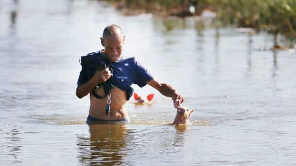 Một người đàn ông lớn tuổi cứu hai con heo con bị ngập trong nước lũ sau khi một số làng ở thành phố Shouguang hứng chịu mưa xối xả và lũ lụt trên diện rộng do bão Rumbia gây ra vào ngày 23/8/2018 tại Thọ Quang, tỉnh Sơn Đông, Trung Quốc