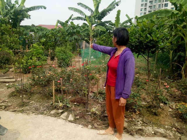 Người dân thôn Triều Khúc, xã Tân Triều, huyện Thanh Trì, thành phố Hà Nội phản ánh về việc giải phóng mặt bằng dự án khu đô thị Tây Nam