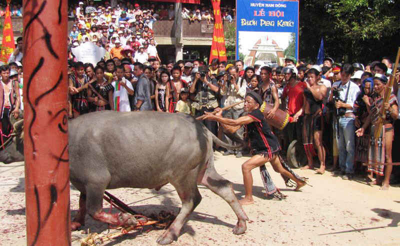 Lễ hội đâm trâu từng được tổ chức tại Thừa Thiên Huế nhưng nay đã xóa bỏ