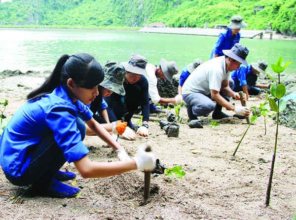 Ứng phó biến đổi khí hậu Giải quyết thách thức để phát triển bền vững2