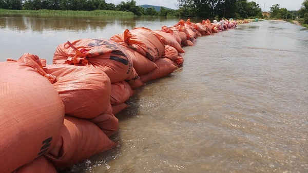 Nhiều đoạn đê sông Bưởi đã bị tràn.