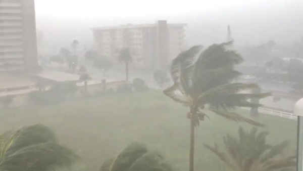 Cây cối rung chuyển mạnh khi bão Gordon đổ bộ Fort Lauderdale, Florida, Mỹ vào ngày 3/9/2018