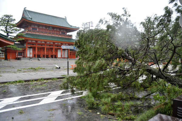 Cây đổ do bão Jebi ở Đền Heian ở Kyoto, phía Tây Nhật Bản vào ngày 4/9/2018
